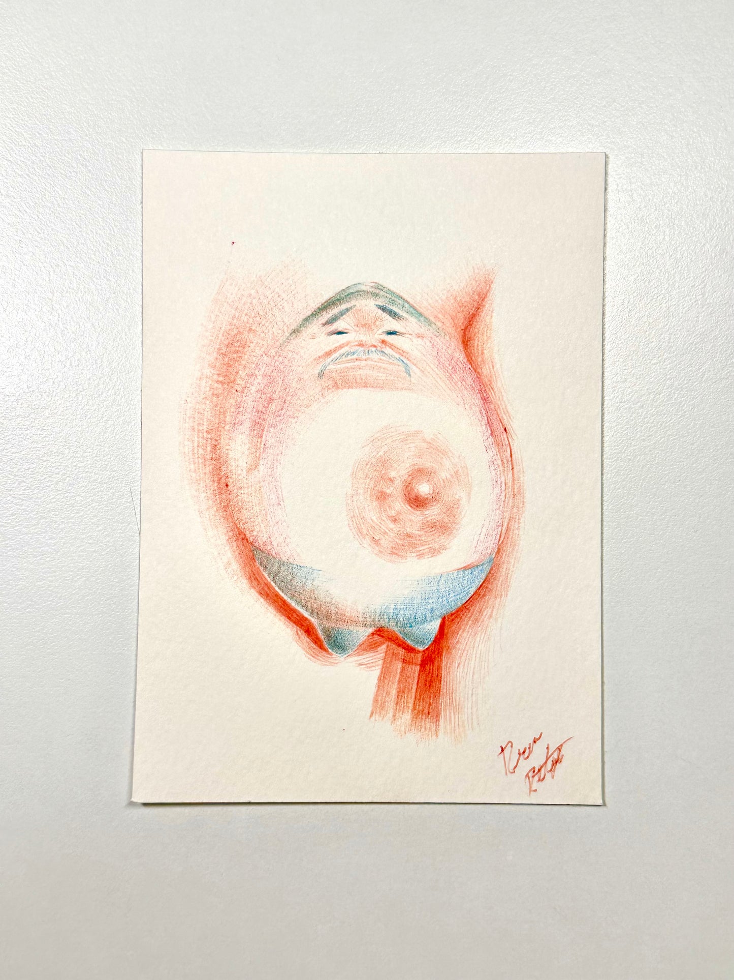 Boobimorph Art