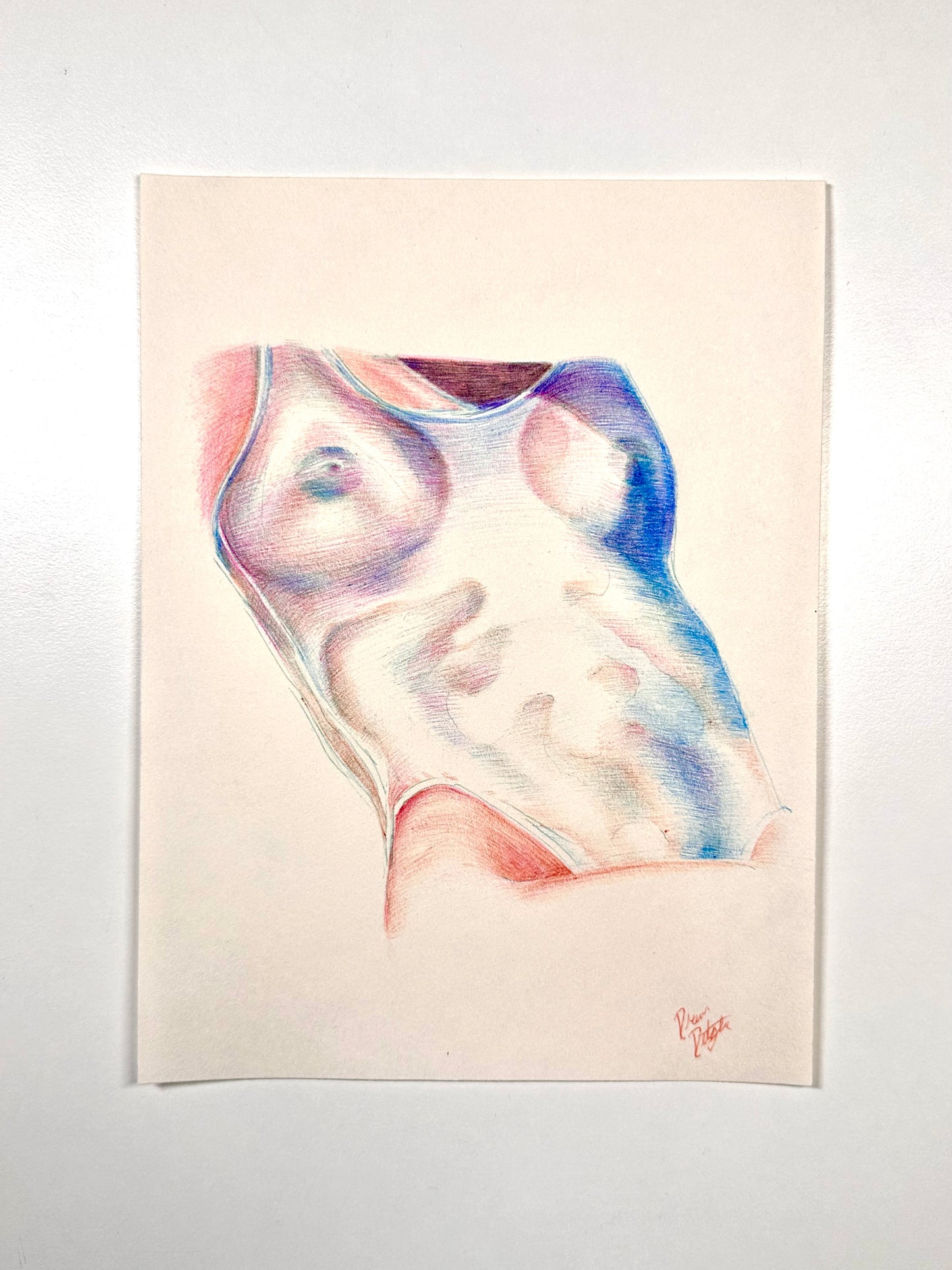 Torso Art