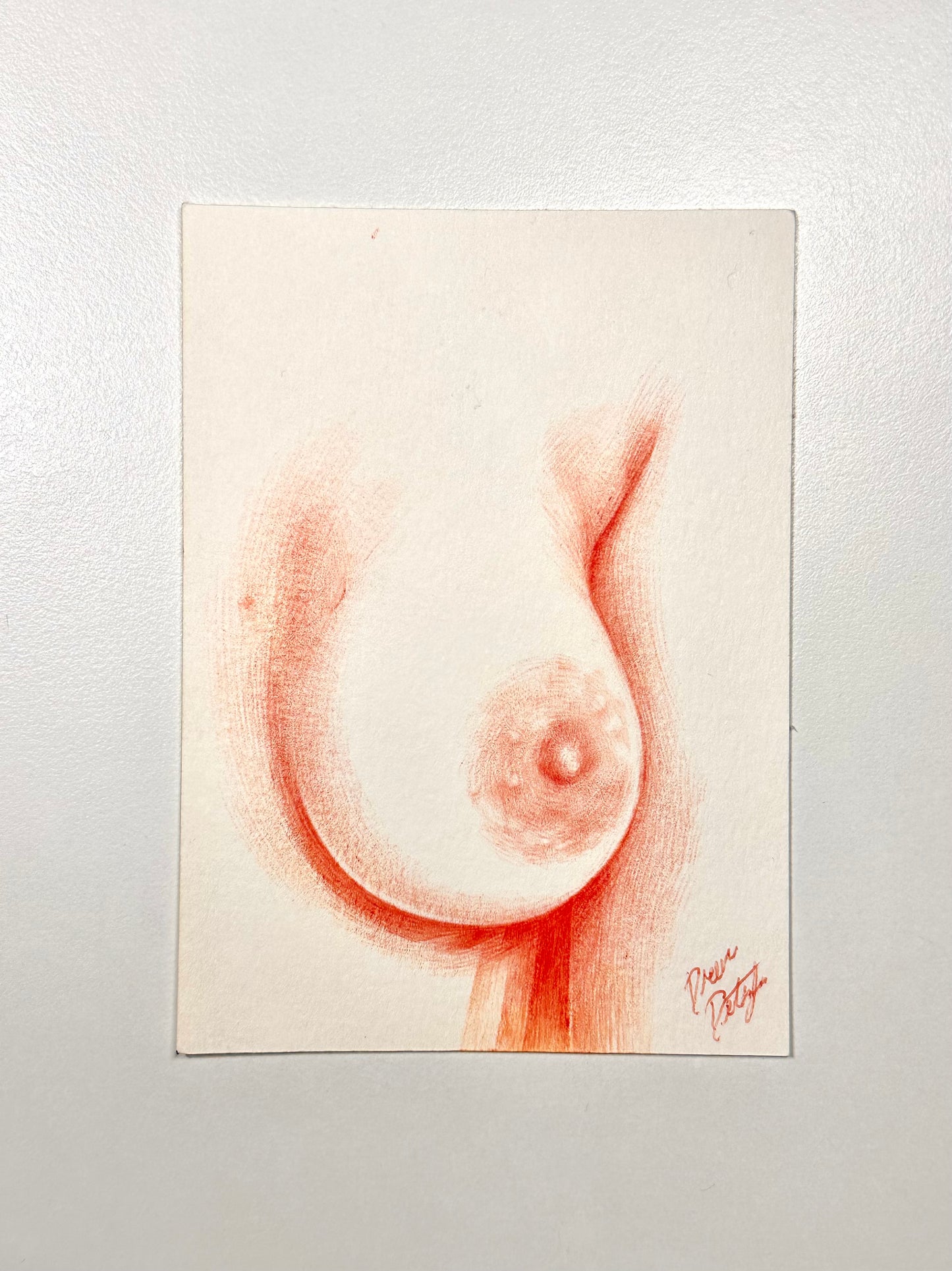 Boobimorph Art